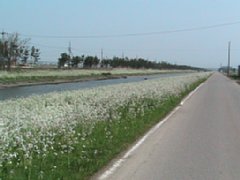 IMG_0176.JPG