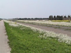 IMG_0189.jpg