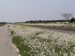 IMG_0190.jpg