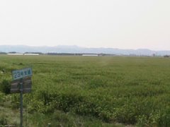 IMG_0187.JPG
