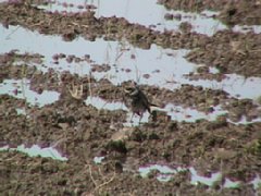 IMG_0196.JPG