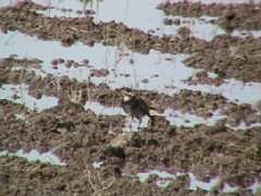 IMG_0197.JPG