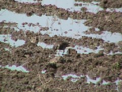 IMG_0198.JPG