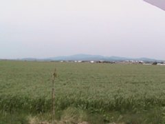 IMG_0228.JPG