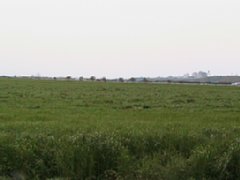 IMG_0229.JPG
