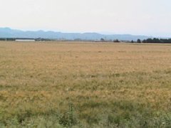 IMG_0280.JPG