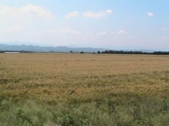 IMG_0282.JPG