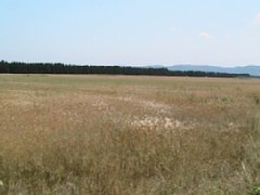 IMG_0289.JPG