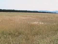IMG_0290.JPG