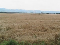 IMG_0315.jpg