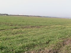 IMG_1375.JPG