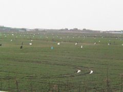 IMG_1378.JPG