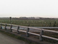 IMG_1380.JPG