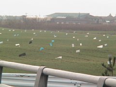 IMG_1381.JPG