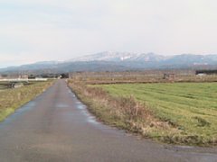 IMG_1387.JPG